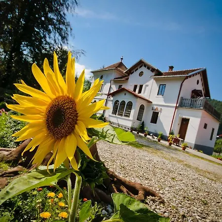 Stary Dwor Privatunterkunft Szczawnica
