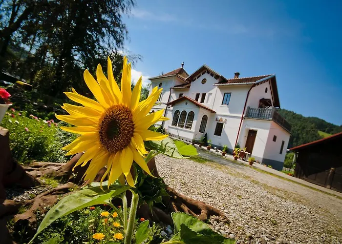 Stary Dwor בית אירוח שצ'בניצה